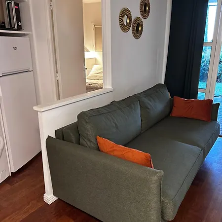 Appartement Avec Jardin Clos Classe Premium Piscine Chauffee Apartamento Saint-Raphaël